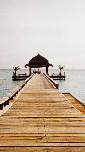 如何优化seo截图2