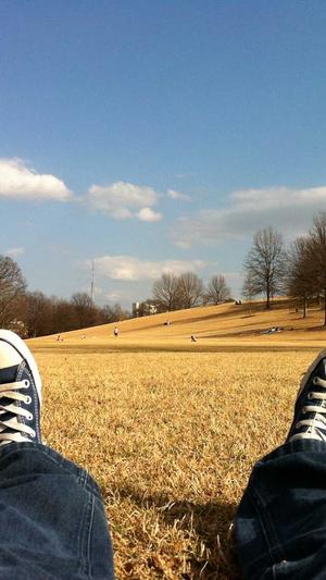 seo优化软件工具截图3