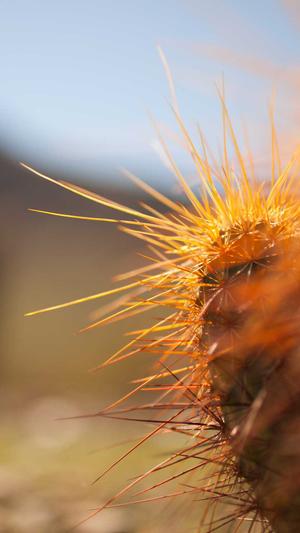 网站建设总结截图3