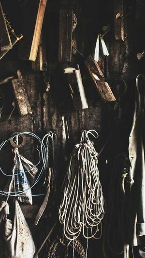 泛目录站群和蜘蛛池区别截图1