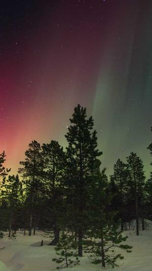 泰安seo优化截图2