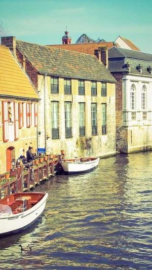 站SEO工具包截图1