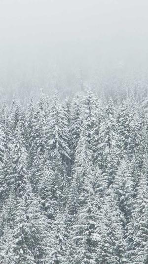 东莞手机网站建设截图3