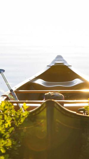 蜘蛛池是赚钱的吗截图2