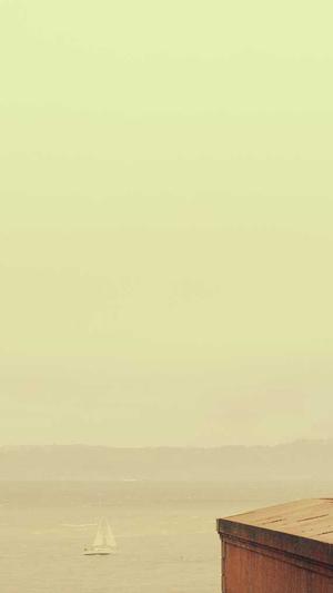 蜘蛛池是赚钱的吗截图1