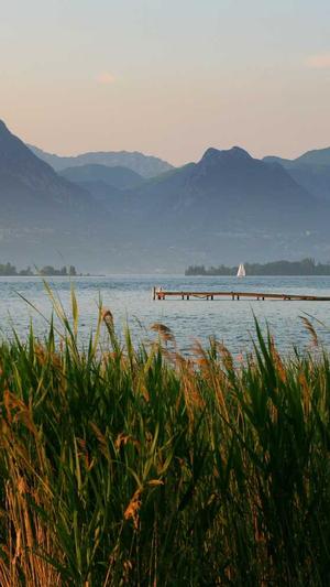 在线seo外链工具截图4