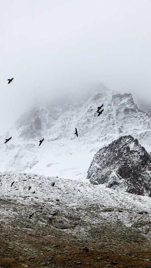 佛山美容院网站建设截图2
