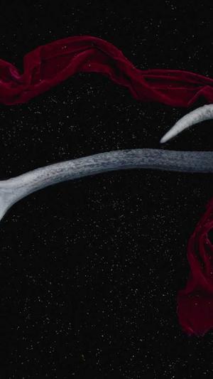 福州网站建设公司截图1