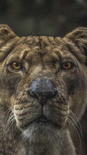 如何做seo推广蜘蛛池截图1