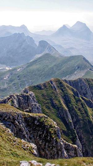 seo发包工具截图1