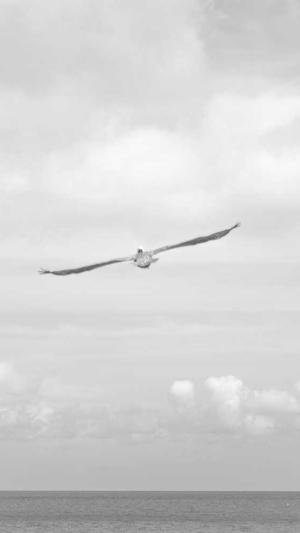 福州网站建设制作截图2