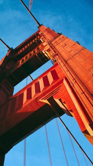 泛目录站群软件最新截图5