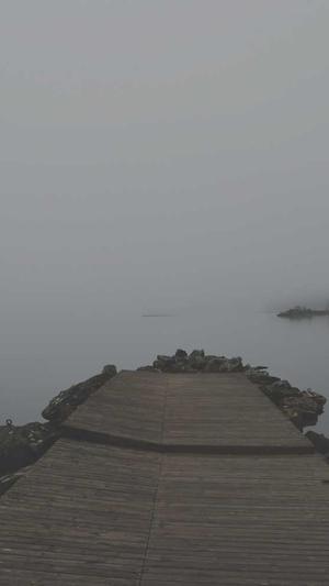 seo采集工具绿色完整版截图1