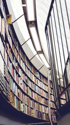 站长SEO工具截图1