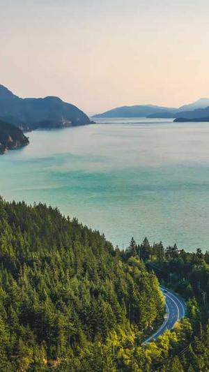 重庆专业网站seo截图2