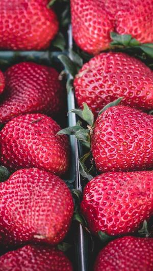 关键词排名查询工具seo截图1