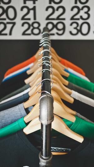 在线蜘蛛池seo优化截图1