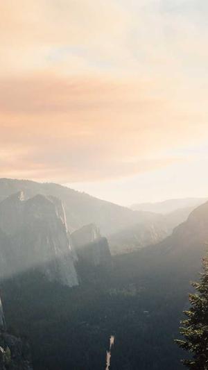 临沂网站建设截图4