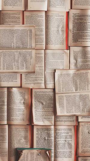 php泛目录站群截图3