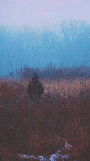 蜘蛛池外推教学截图2