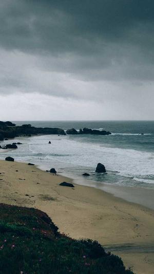 seo蜘蛛工具截图3