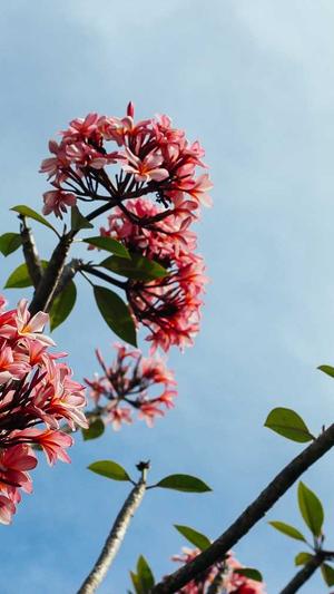 银川网站建设截图5