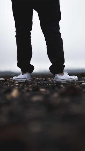 站长seo工具截图1