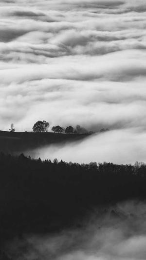 网站建设咨询公截图2