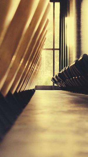 小旋风蜘蛛池教程攻略截图1