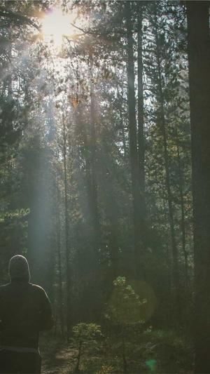 seo必备工具有哪些截图2